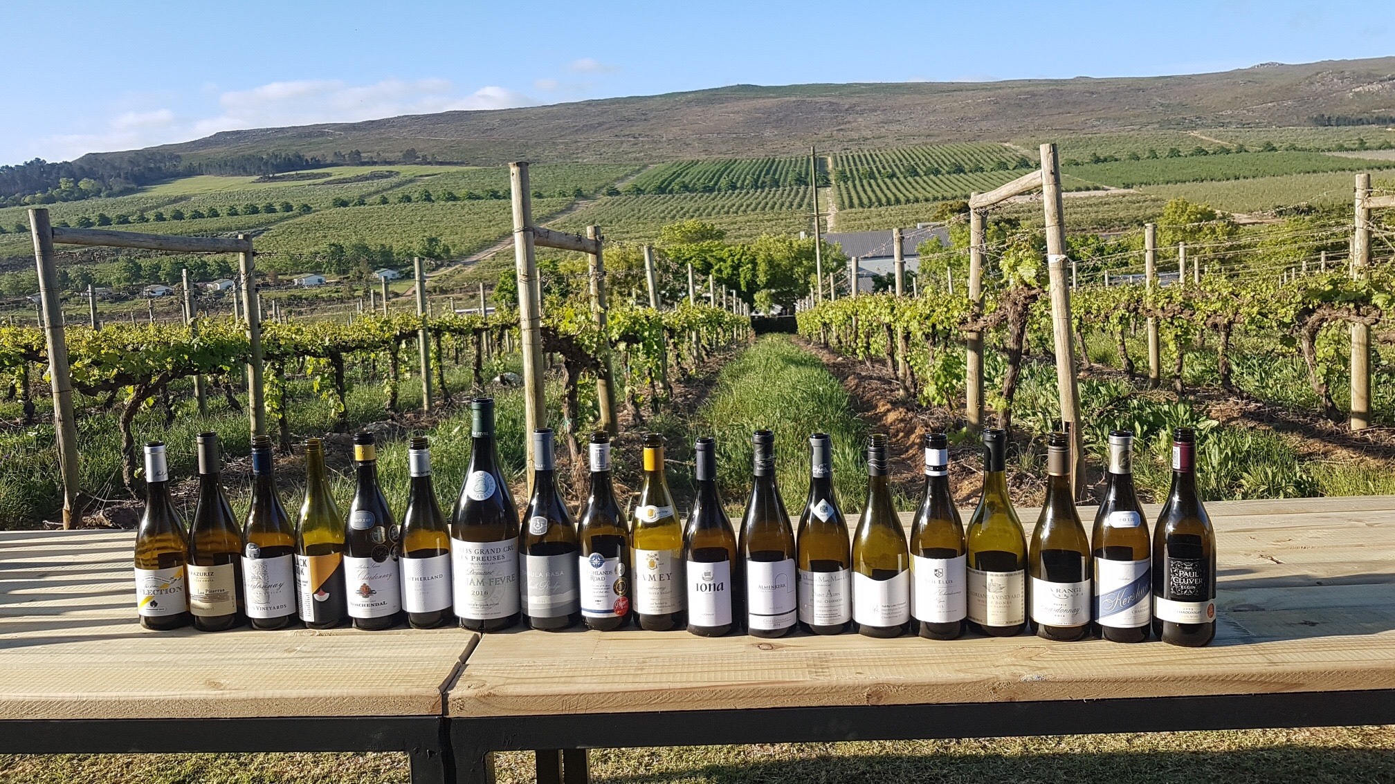 Elgin Chardonnay Colloquium 2019 - Swirl and Spice