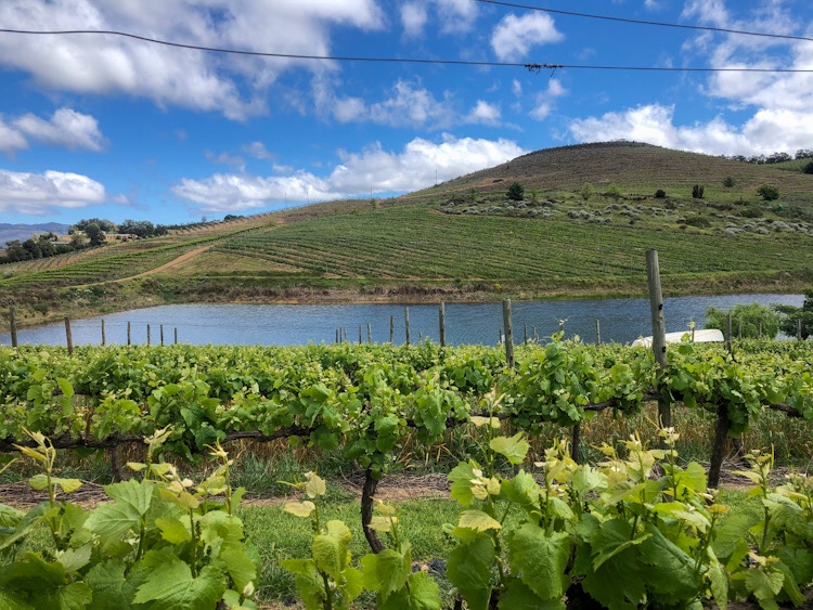 A Different View of Paul Wallace Wines 3 A Different View of Paul Wallace Wines - Swirl and Spice