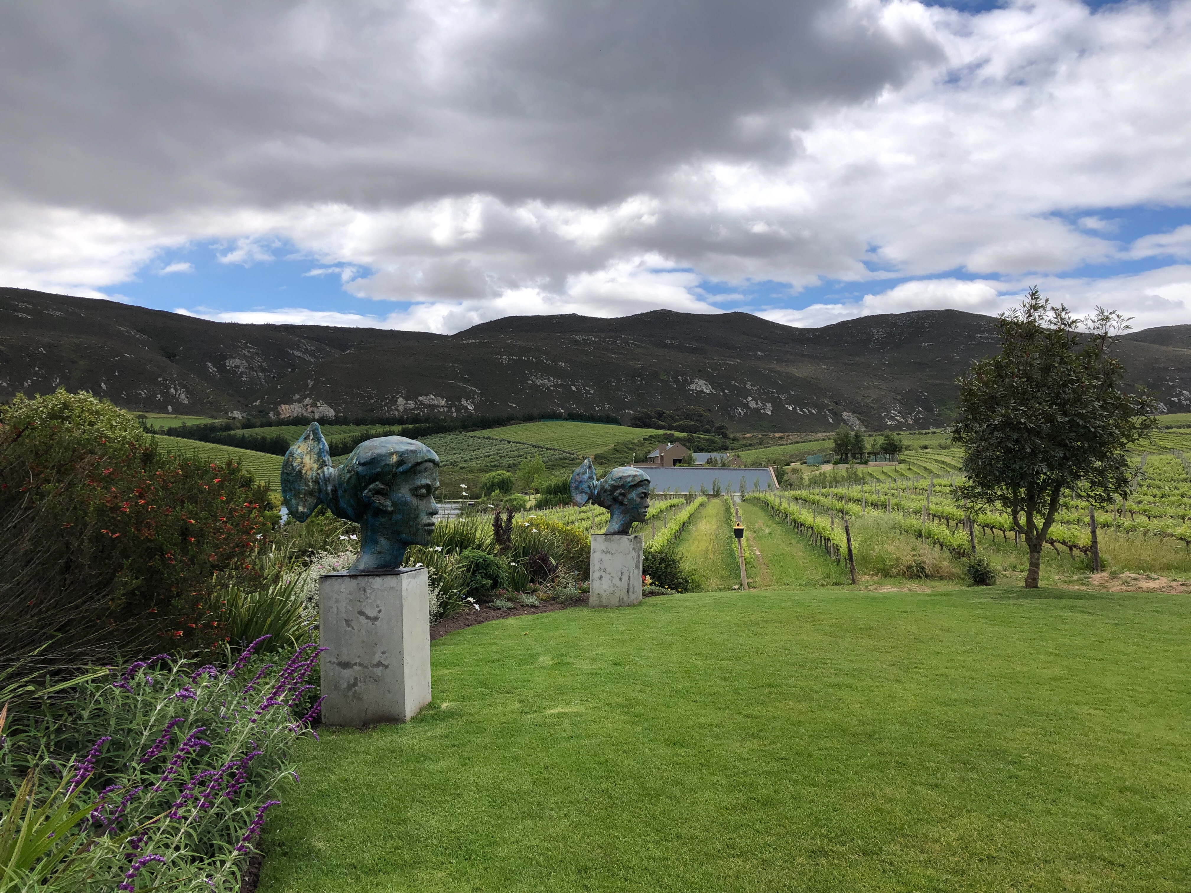 Creation Wines - Wines of Balance, Elegance, Finesse, Distinction - Swirl and Spice