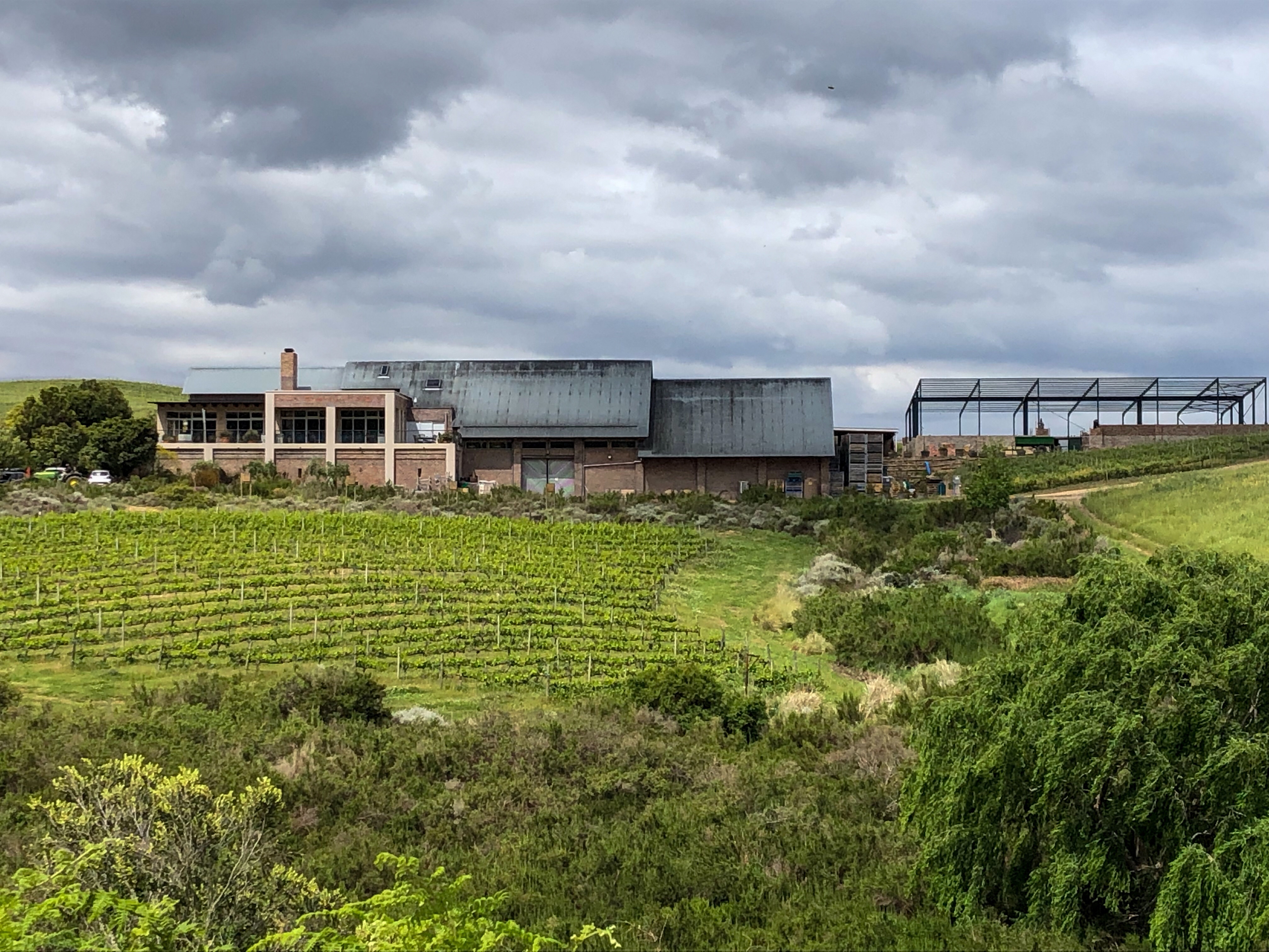 Creation Wines - Wines of Balance, Elegance, Finesse, Distinction - Swirl and Spice
