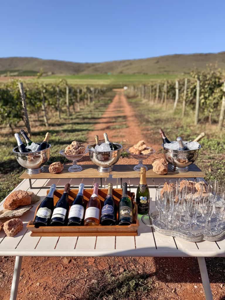 Robertson Vineyard Visits | Robertson Wine Valley - Swirl and Spice