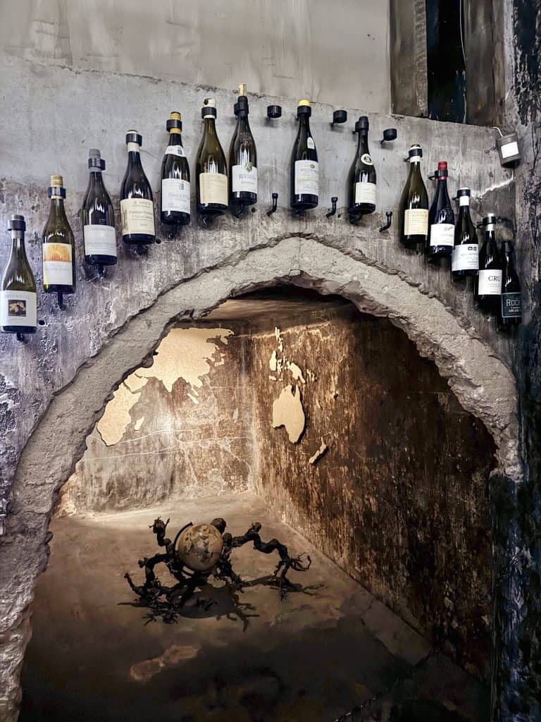 Robertson Vineyard Visits | Robertson Wine Valley - Swirl and Spice