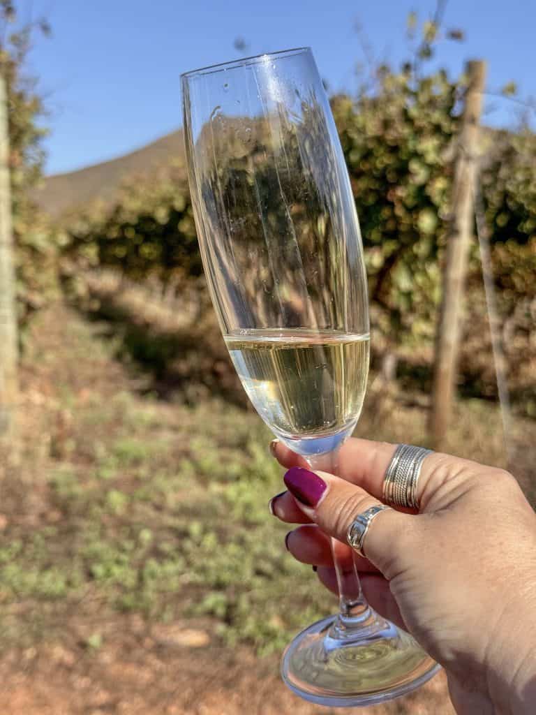 Robertson Vineyard Visits | Robertson Wine Valley - Swirl and Spice