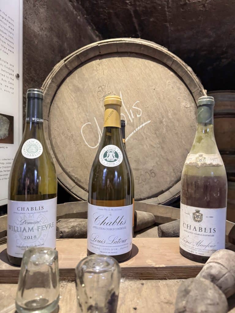 Robertson Vineyard Visits | Robertson Wine Valley - Swirl and Spice