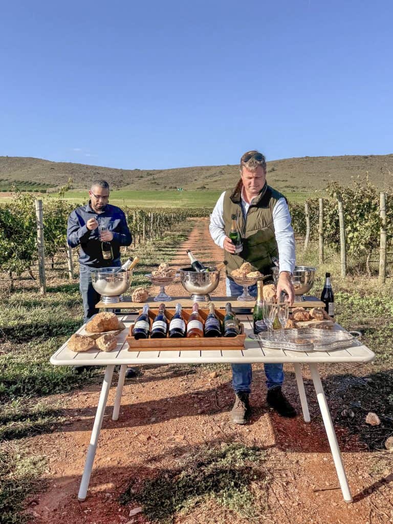 Robertson Vineyard Visits | Robertson Wine Valley - Swirl and Spice
