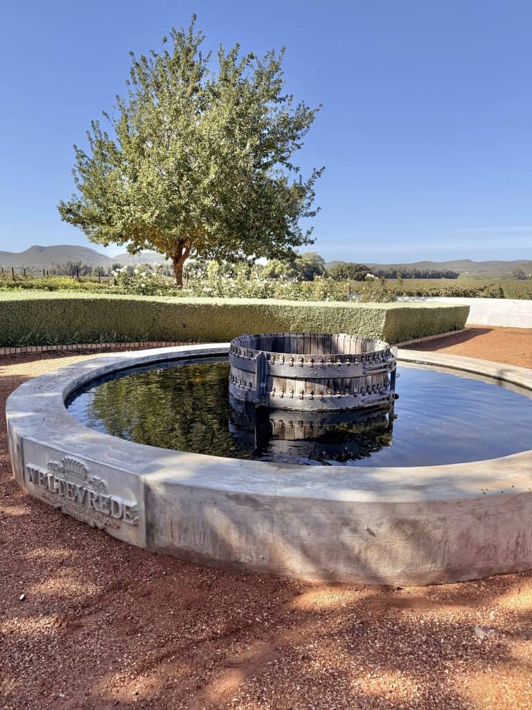 Robertson Vineyard Visits | Robertson Wine Valley - Swirl and Spice