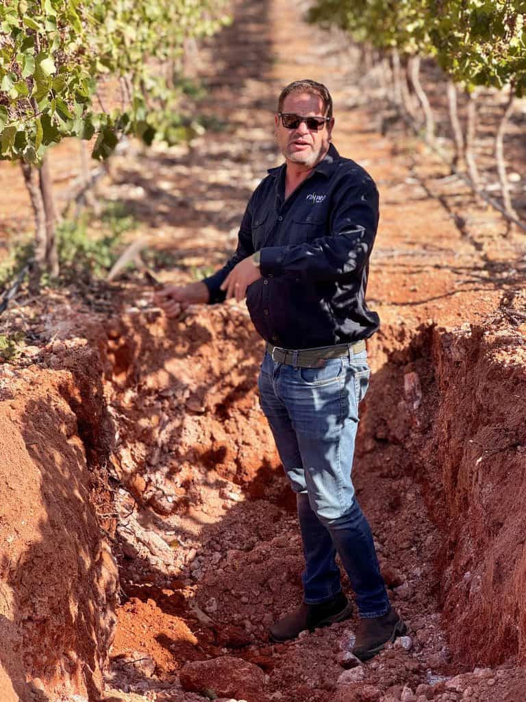 Robertson Vineyard Visits | Robertson Wine Valley - Swirl and Spice