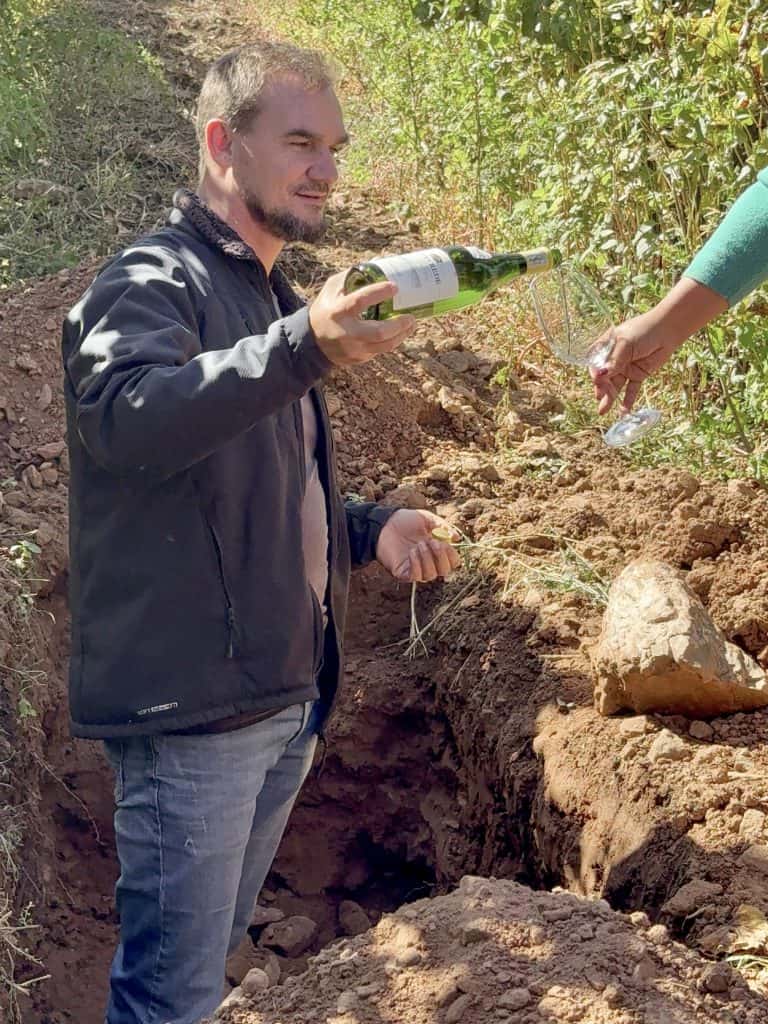 Robertson Vineyard Visits | Robertson Wine Valley - Swirl and Spice