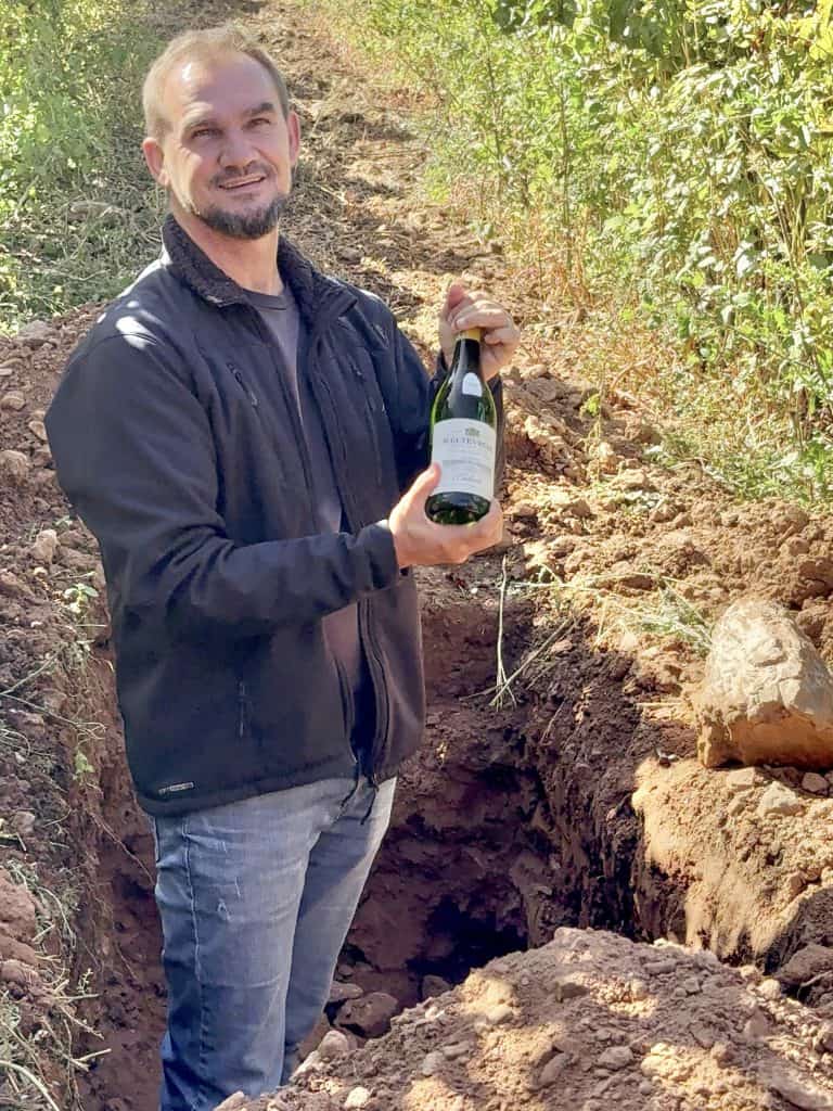 Robertson Vineyard Visits | Robertson Wine Valley - Swirl and Spice