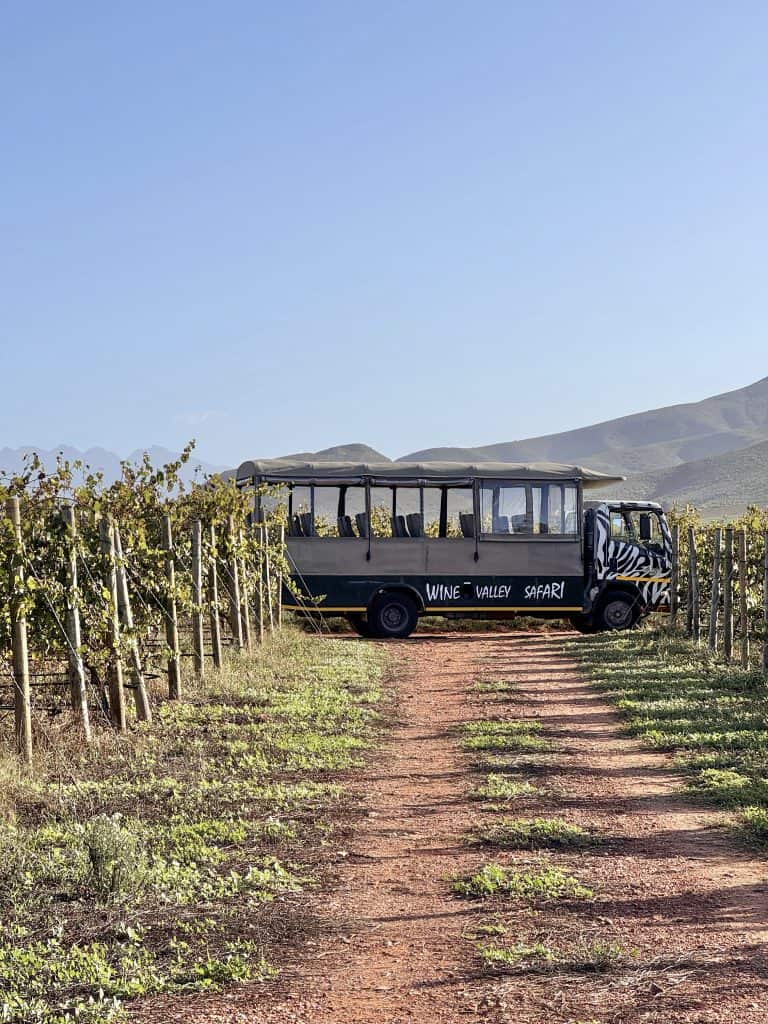 Robertson Vineyard Visits | Robertson Wine Valley - Swirl and Spice