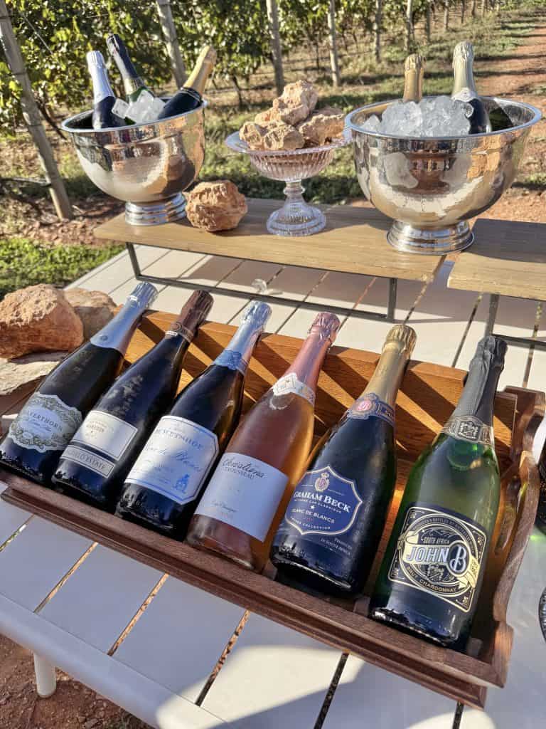 Robertson Vineyard Visits | Robertson Wine Valley - Swirl and Spice