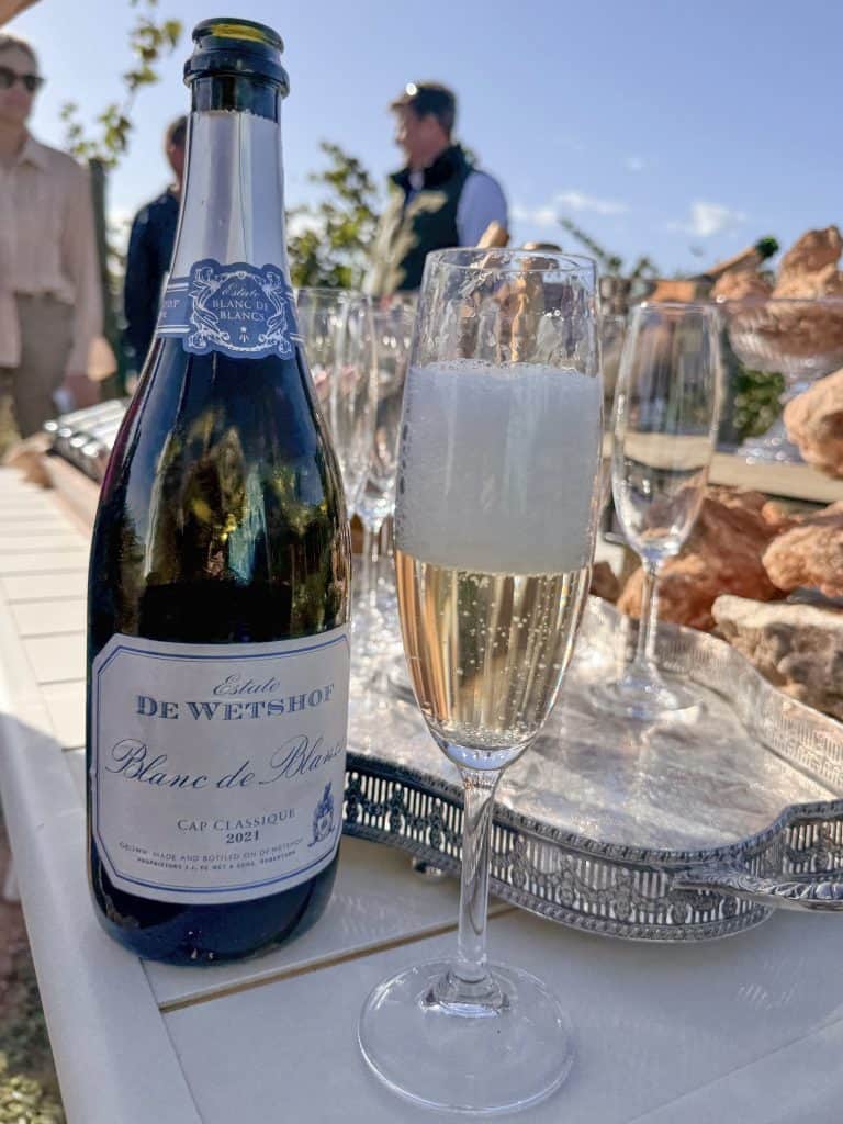 Robertson Vineyard Visits | Robertson Wine Valley - Swirl and Spice