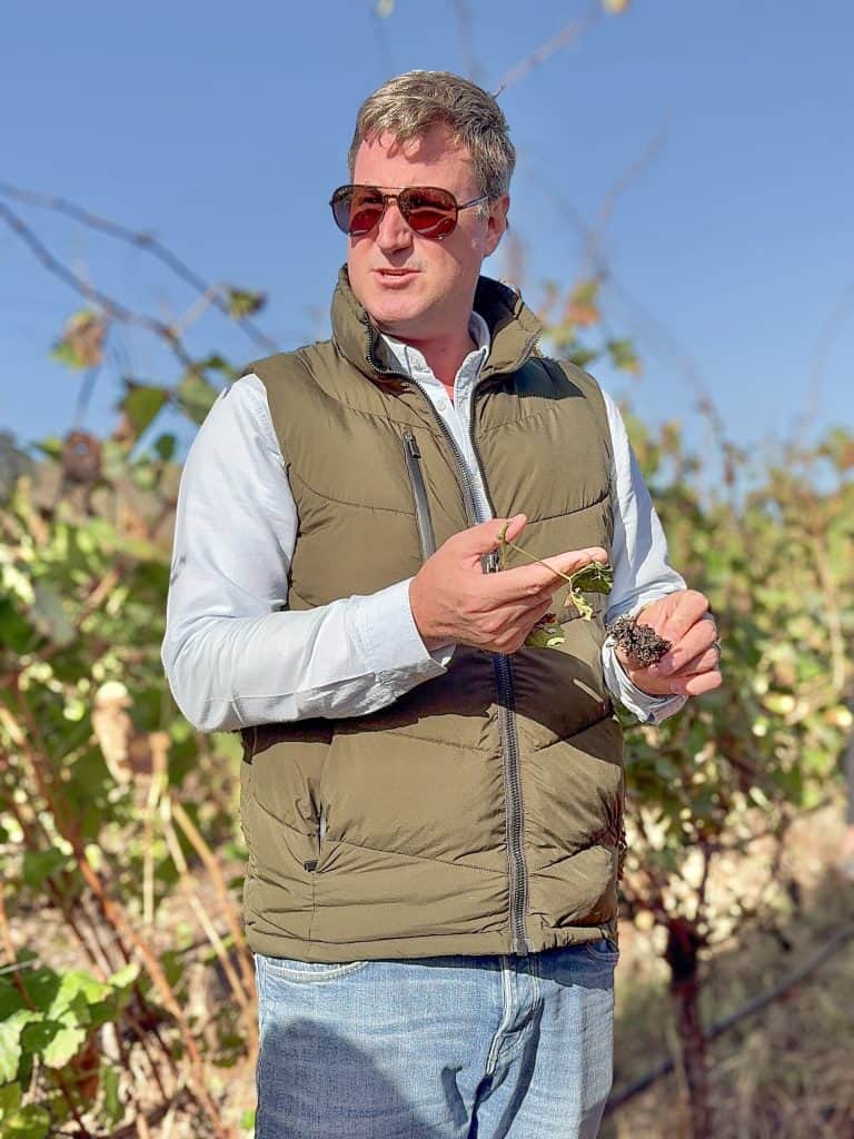 Robertson Vineyard Visits | Robertson Wine Valley - Swirl and Spice