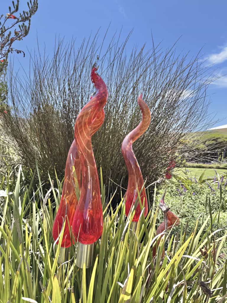 Celebrating Creation’s Biodiversity - Swirl and Spice