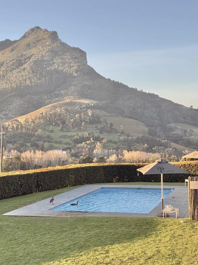 Le Pommier Wine Estate | An Authentic Stellenbosch Wine Tasting Experience with 5 Signature Wines - Swirl and Spice
