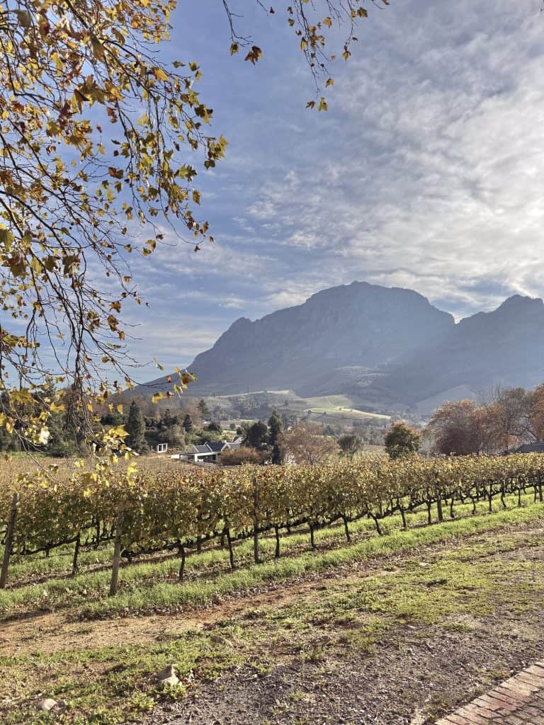 Le Pommier Wine Estate | An Authentic Stellenbosch Wine Tasting Experience with 5 Signature Wines - Swirl and Spice