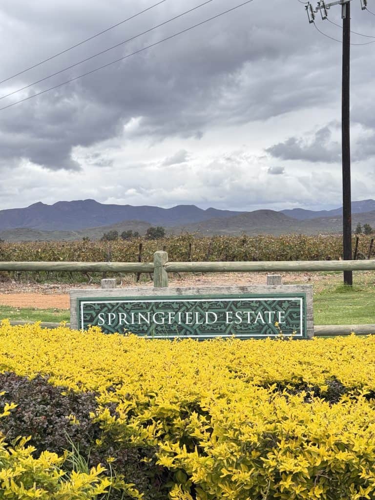 Springfield Estate | Robertson - Swirl and Spice
