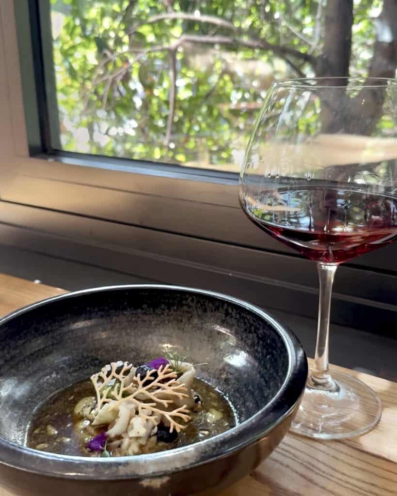 Oku - Glenfinlas Angus Wagyu Dumplings with Chamonix Feldspar Pinot Noir