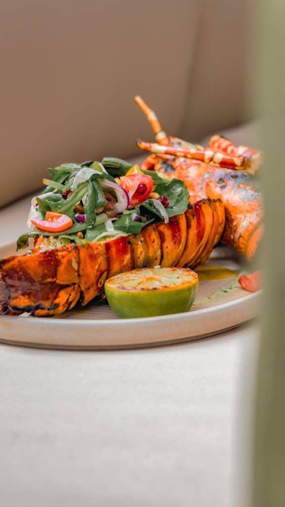 Delicious grilled lobster served with fresh salad and lime wedge, highlighting a gourmet seafood dish.