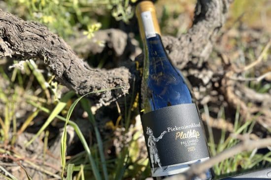 A bottle of Platik Palomino wine leaning against a tree trunk in a vineyard setting with green foliage and sunlight.