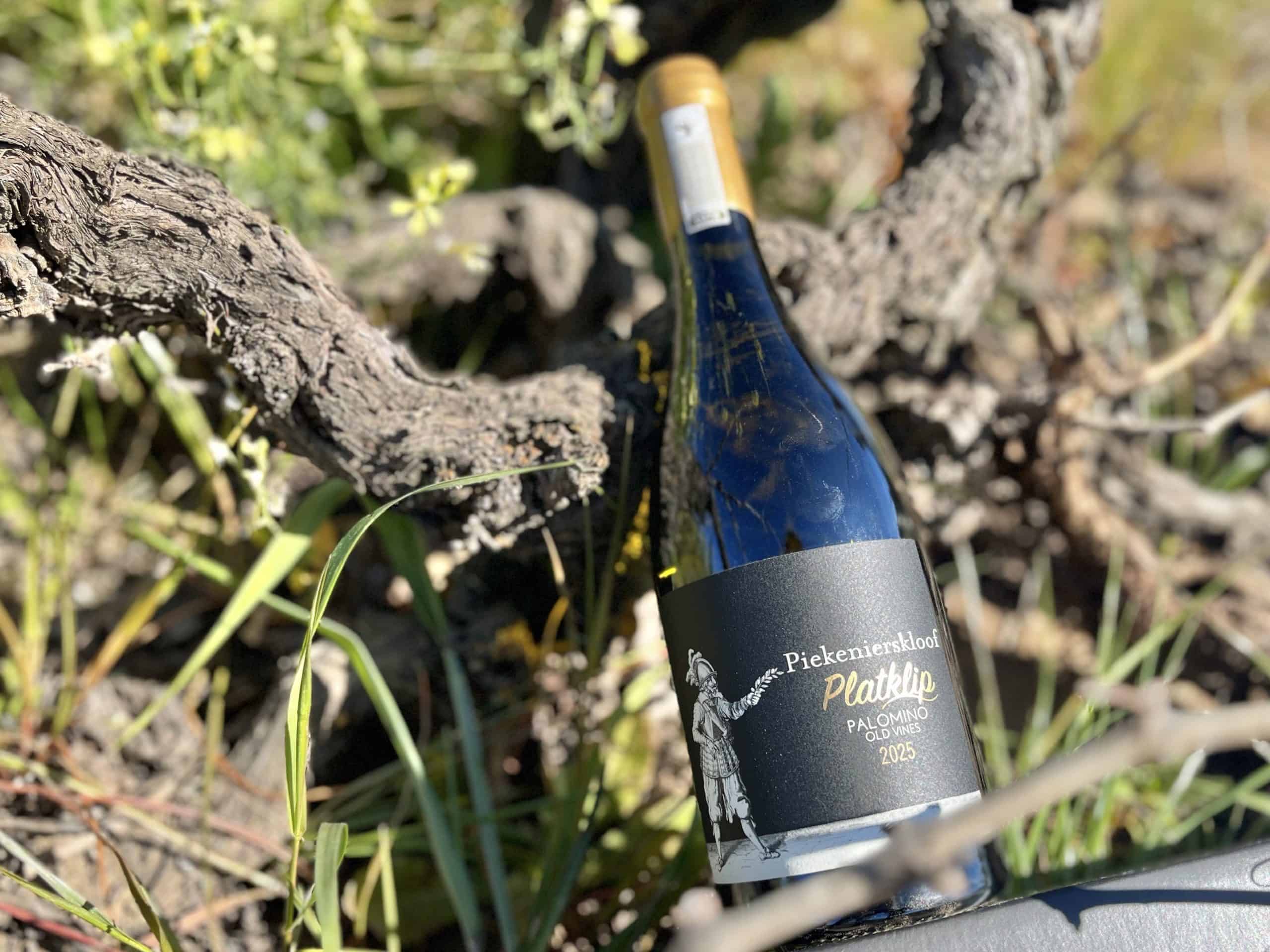 Piekenierskloof Wines Unveils Rare Old Vines Palomino From Stellar 2025 Vintage