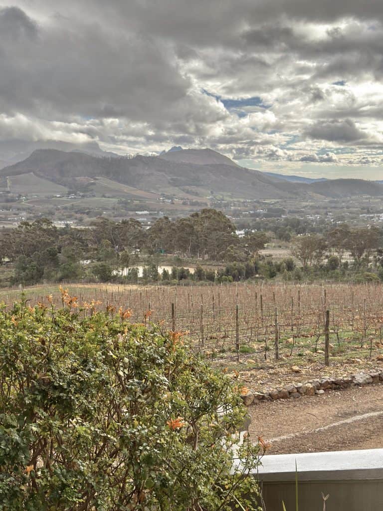 View overlooking vineyards and mountains