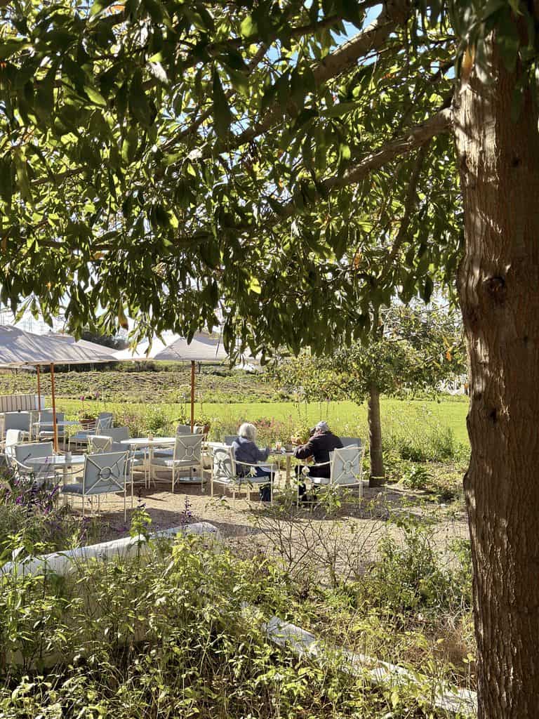 People enjoying outdoor seating at Hazendal Wine Estate in Stellenbosch with lush greenery and shaded trees.