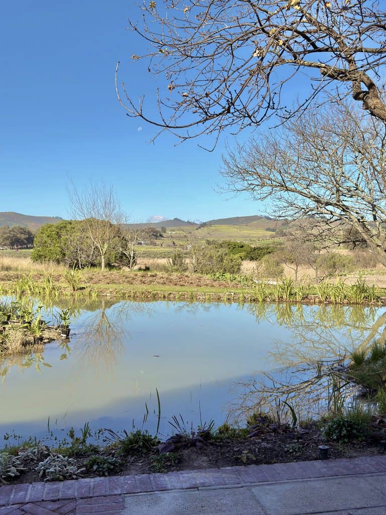 Scenic view of a pond with trees and hills in the background under a clear blue sky.