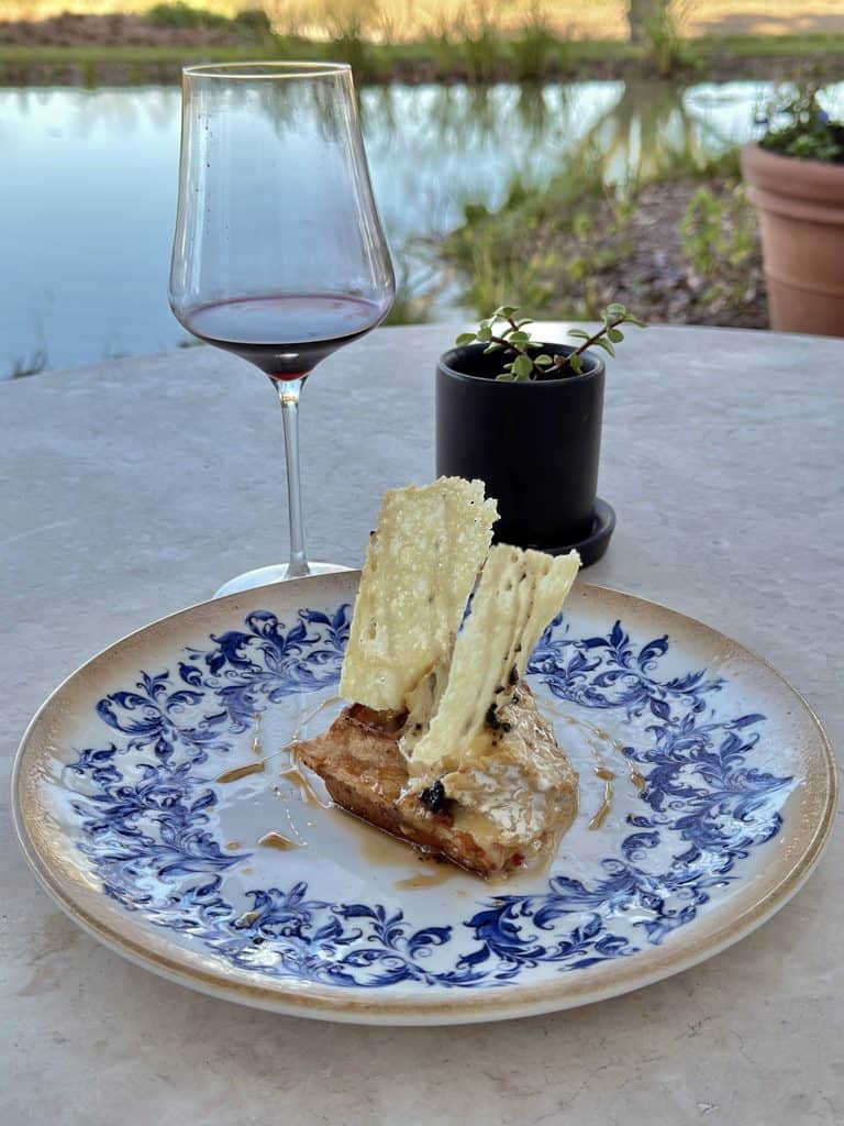 Glass of red wine, dessert with cheese and crackers on a blue and white plate, and a potted plant outdoors by a pond.