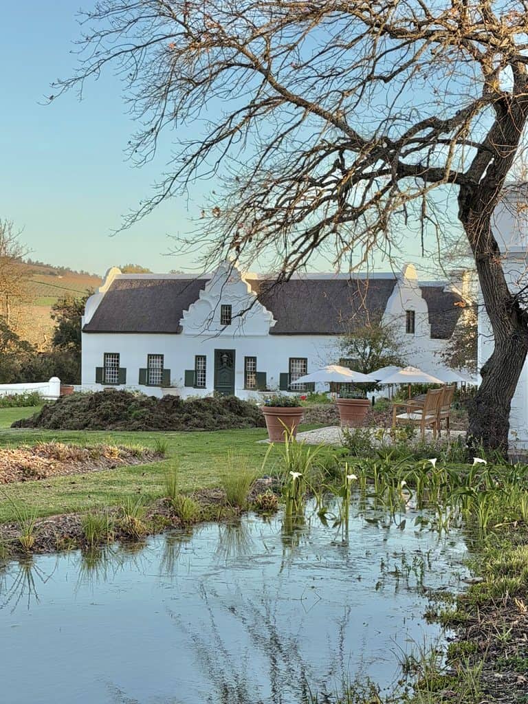 Edited in Tezza with: Cocoa Scenic view of Hazendal Wine Estate with a white building, pond, and leafless tree in Stellenbosch Winelands during daytime.